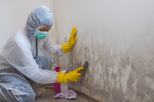 Best HVAC Mold Inspection and Cleaning  in Grant Valkaria, FL