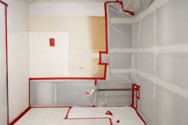Asbestos and Lead Testing During Mold Inspection in Grant Valkaria, FL