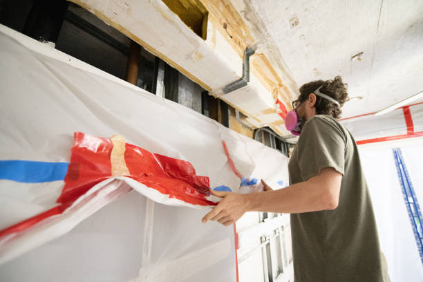 Professional Mold Removal in Grant Valkaria, FL