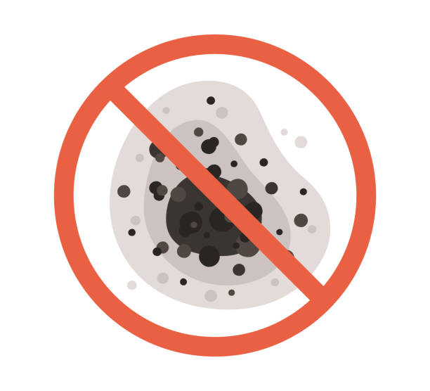 Best Black Mold Removal  in Grant Valkaria, FL