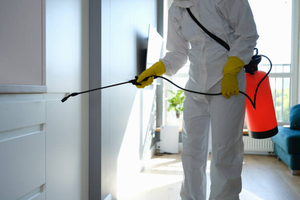 Best Mold Removal for HVAC Installations  in Grant Valkaria, FL