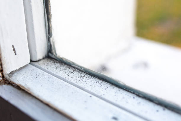 Best Asbestos and Lead Testing During Mold Inspection  in Grant Valkaria, FL