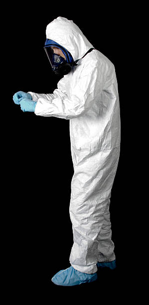 Best Basement Mold Removal  in Grant Valkaria, FL