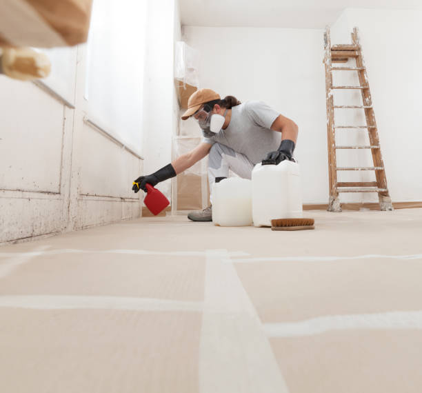 Best Forensic Mold Investigation  in Grant Valkaria, FL