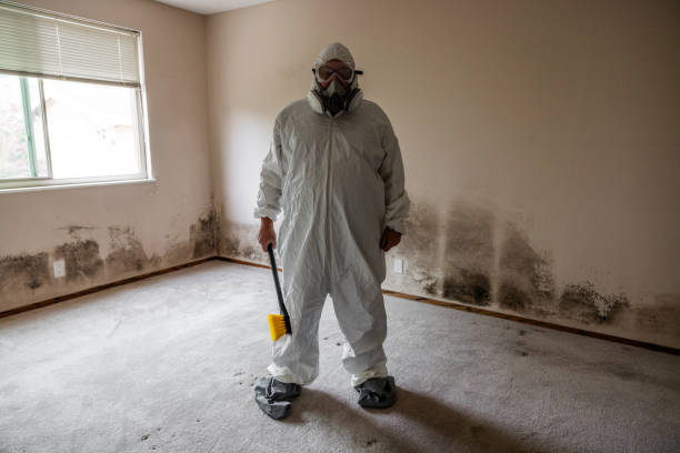 Best Mold Damage Restoration  in Grant Valkaria, FL